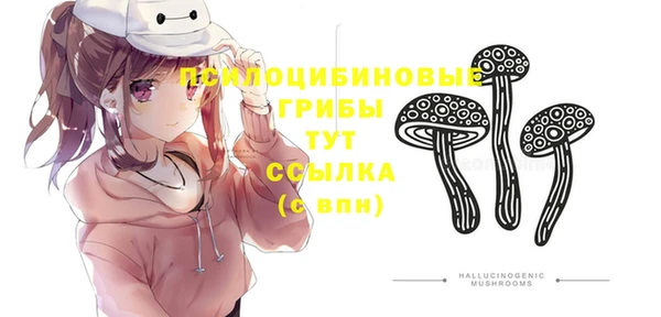 ешки Магадан